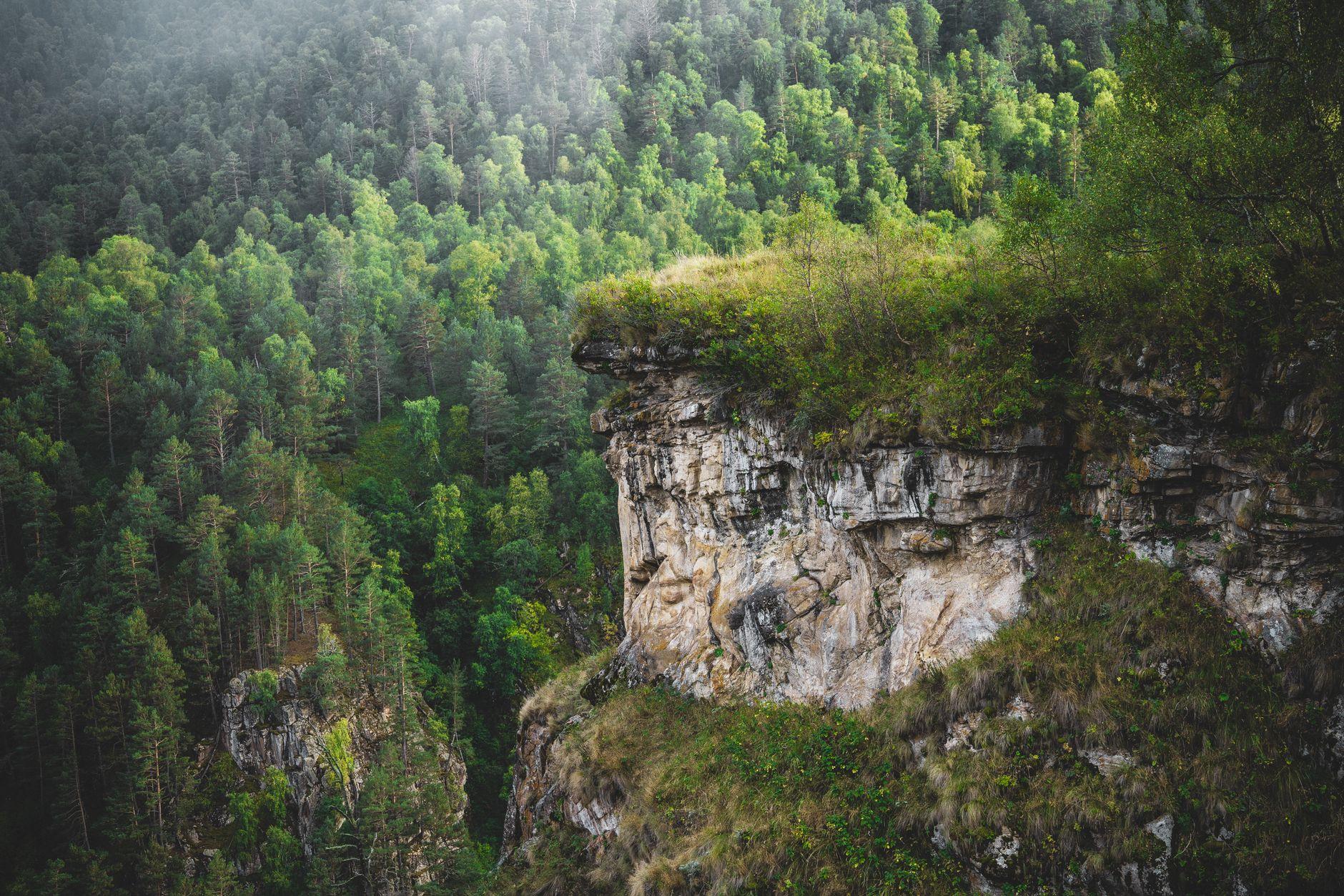 A limestone cliff outcrop rising above a dense green forest canopy