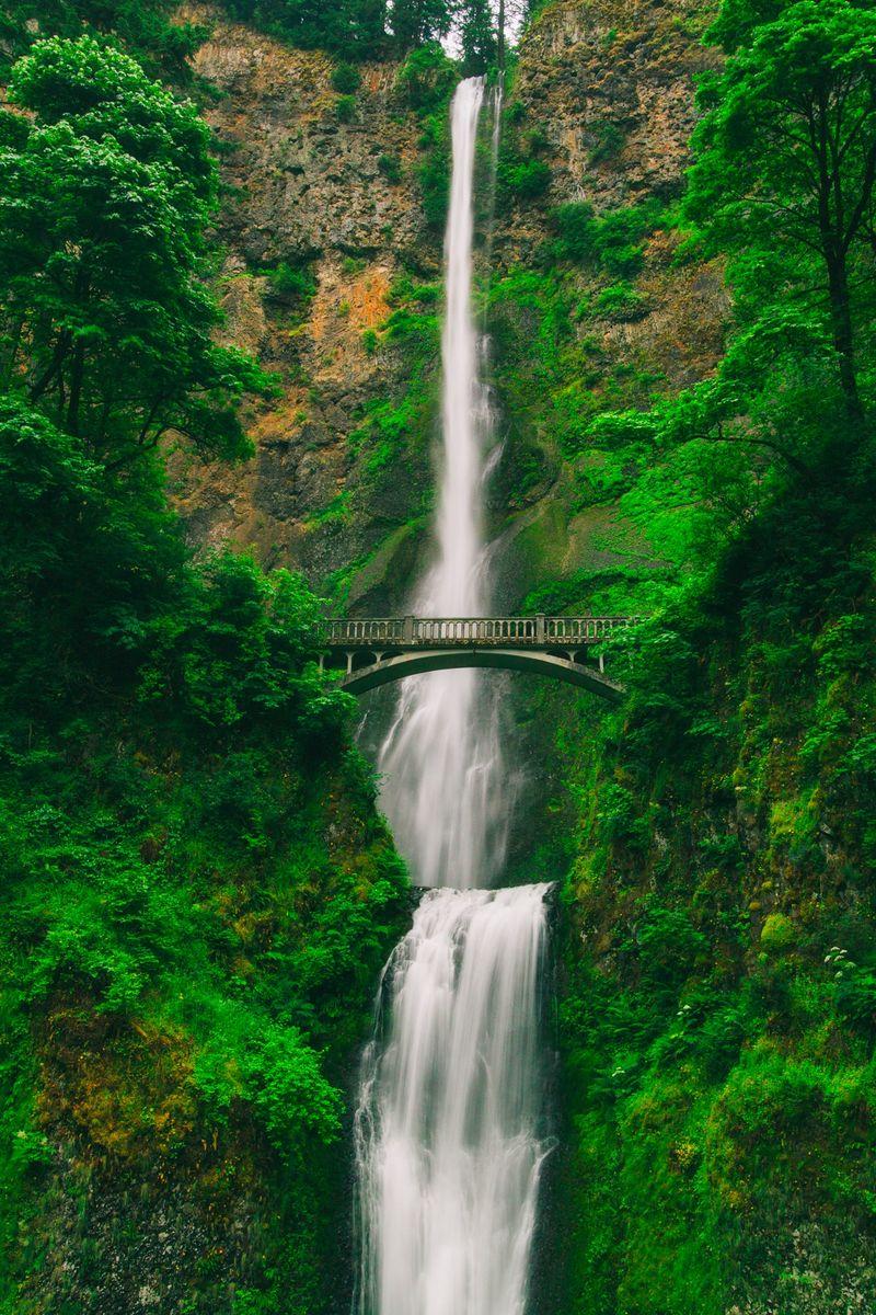 Waterfall Wonderland